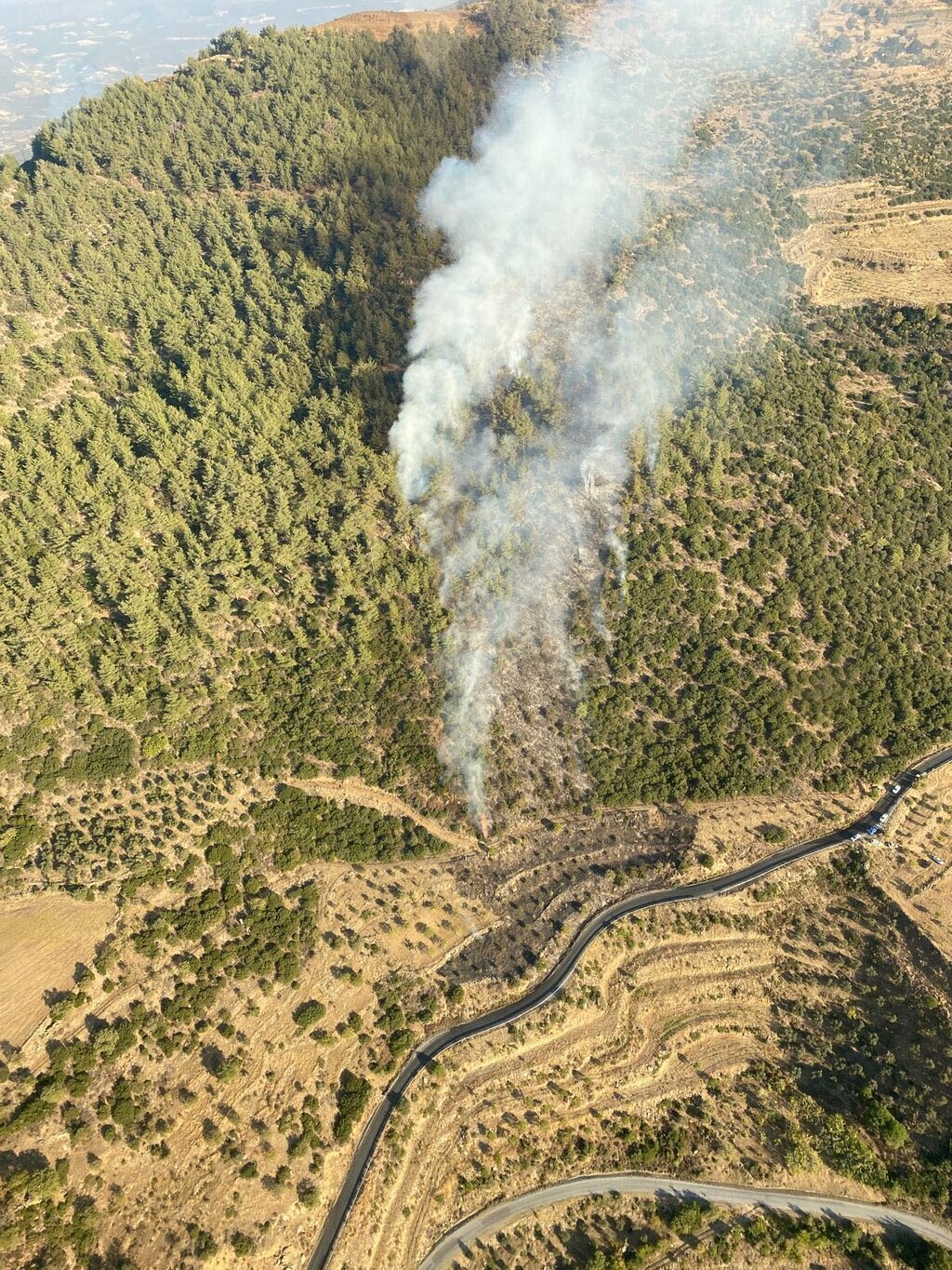 AYDINDA ORMAN YANGINI 5 SAATTE SONDURUL 392379 108817