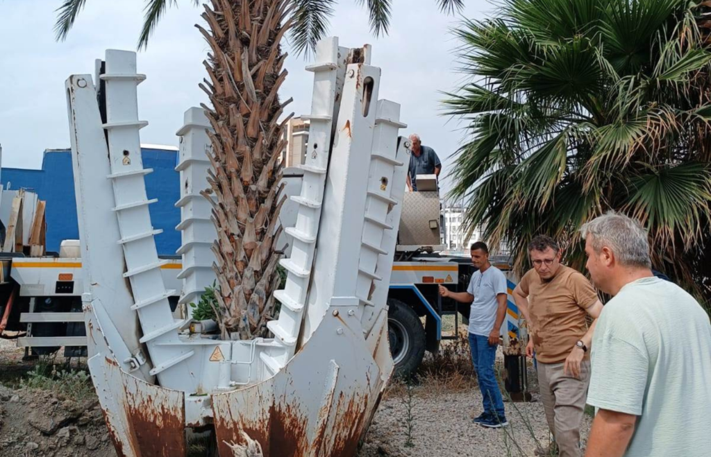 İskenderun Belediyesi’nden Ağaç Kurtarma Operasyonu