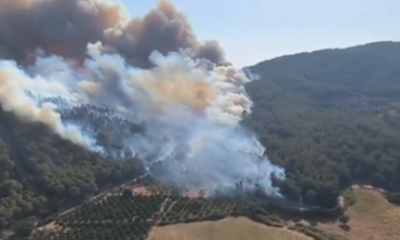 Orman yangınları 3 ilde sürüyor