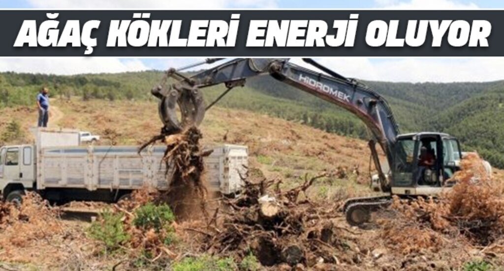 AgAc KoKLERi SoKuLuRKEN1