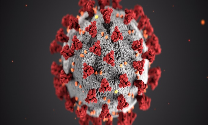Ankara Üniversitesi’nden açıklama: SARS-COV-2 virüsü izole edildi!