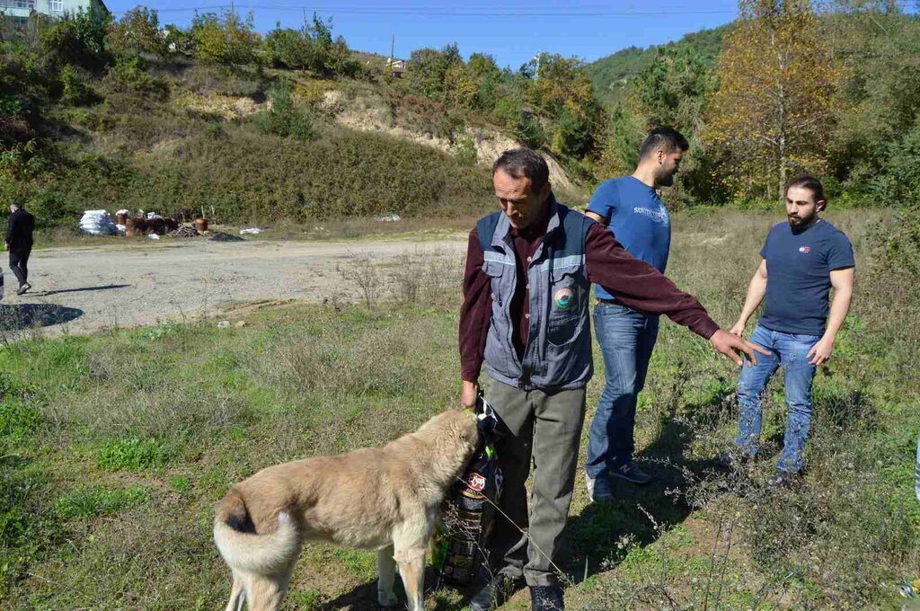 BAYAT EKMEK KUTULARI CAN DOSTLARINA AS OLACAK