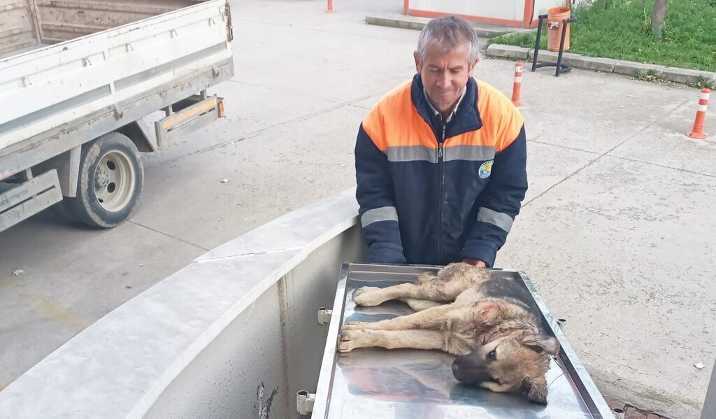 BELEDIYE PERSONELI YARALI KOPEGI HASTAN 453642 133959 e1733312247383