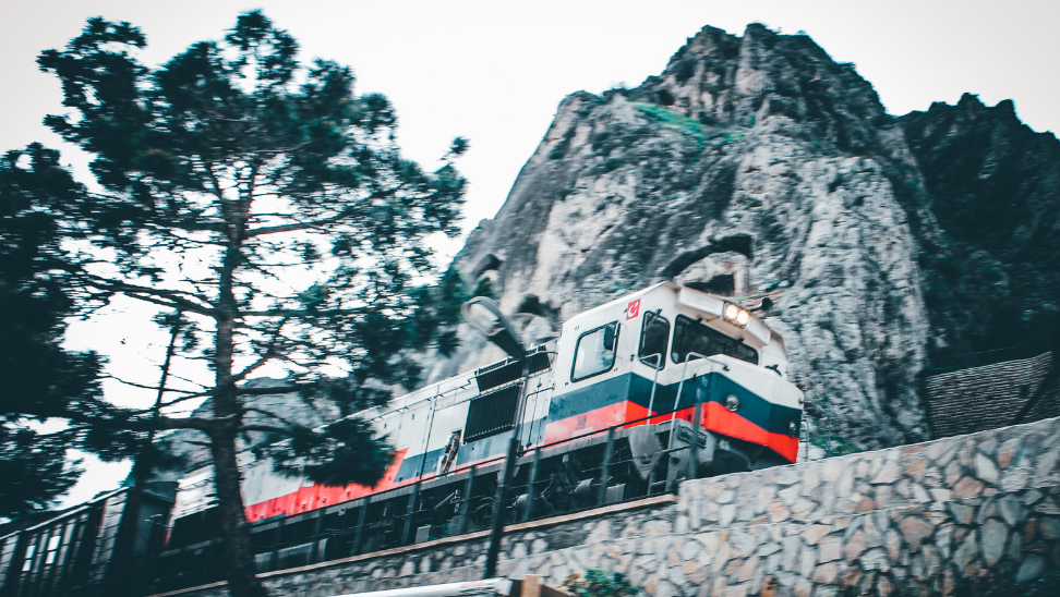 Giresun’da iki kardeş sandıkta yarıştı