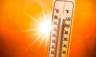 Yeni haftada sıcaklıklara dikkat; mevsim normallerinden 5-10 derece fazla olacak