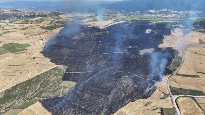 BUGDAY EKILI ARAZIDE YANGIN 250 DEKAR A 820579 243066