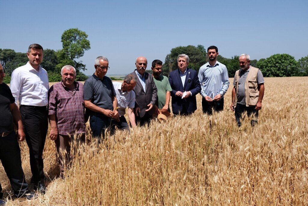 BarfaIkiztepe4 scaled