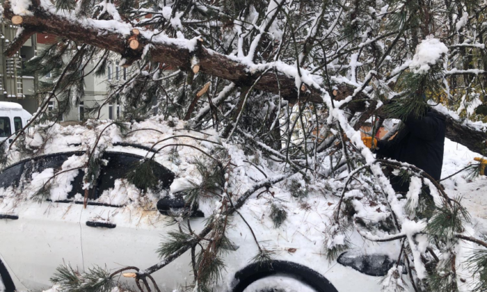 Kar yağışı sonrasında aracın üzerine ağaç devrildi
