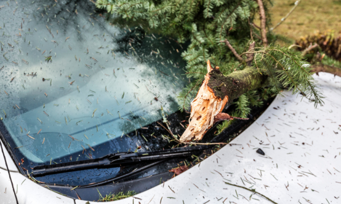 Bursa’da çıkan lodos park halindeki araçlarda hasara yol açtı