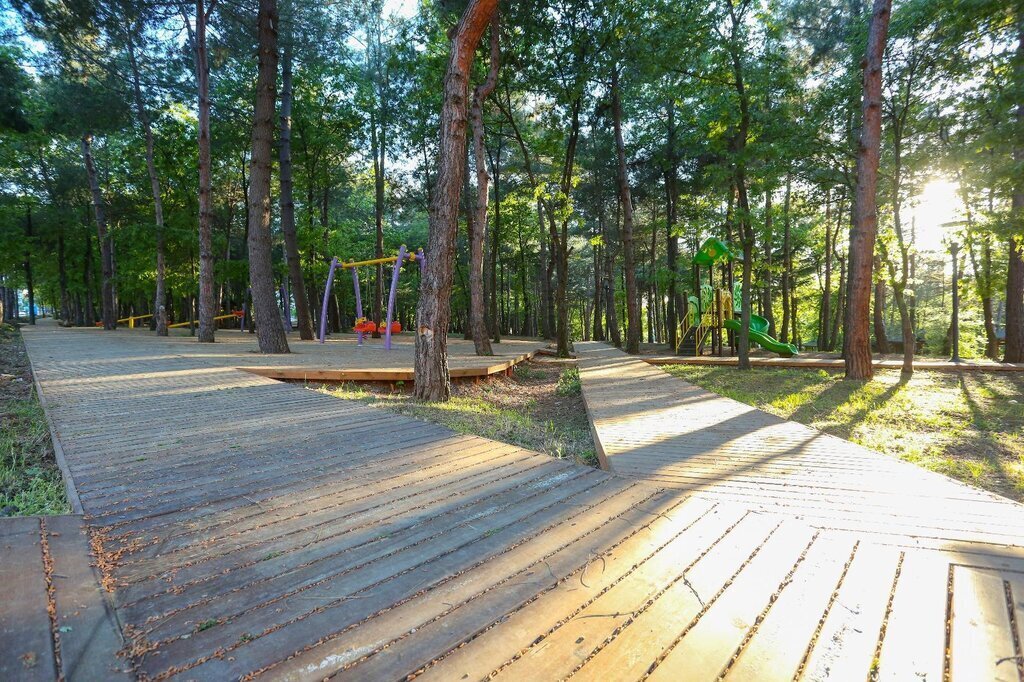 CANIK BLD HABER 10 01 2025 2