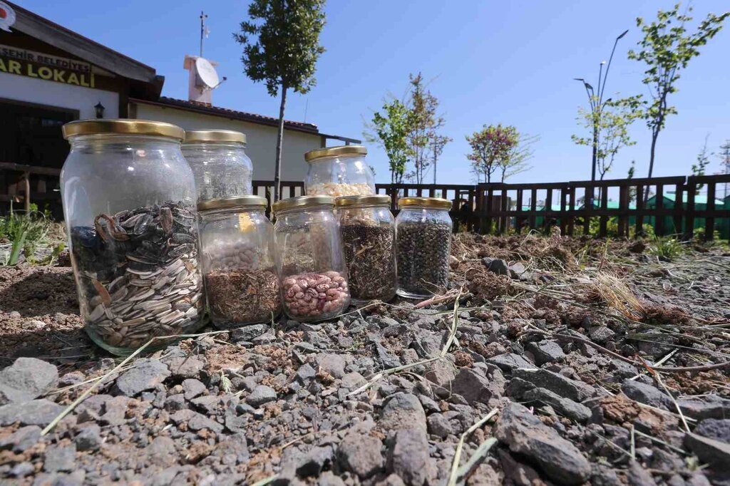 CANIK BLD HABER 13.05.2022 9