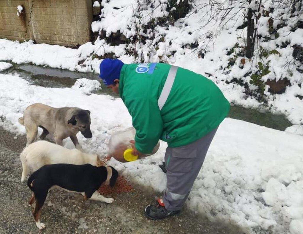 CANIK BLD HABER 15 03 2023 4