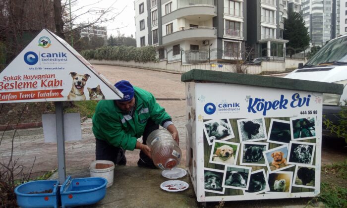 Canik Belediyesi can dostları yalnız bırakmıyor