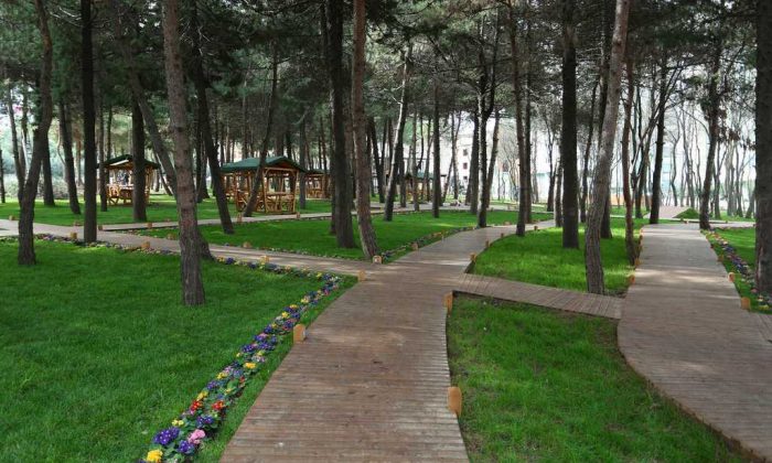 Meşe Orman Park projesi ikinci etap çalışmaları devam ediyor
