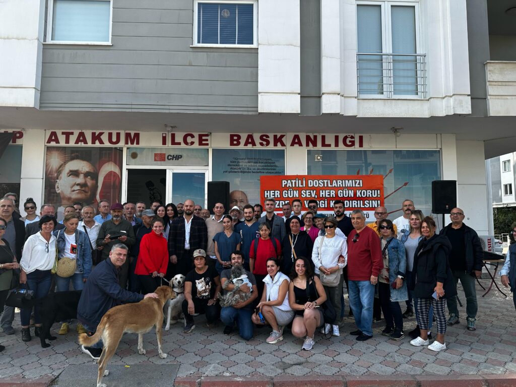 CHP Atakum, patili dostlar için 1 ton mama dağıttı