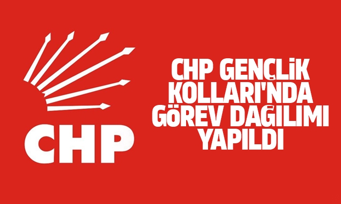 CHP Gençlik Kolları’nda görev dağılımı yapıldı