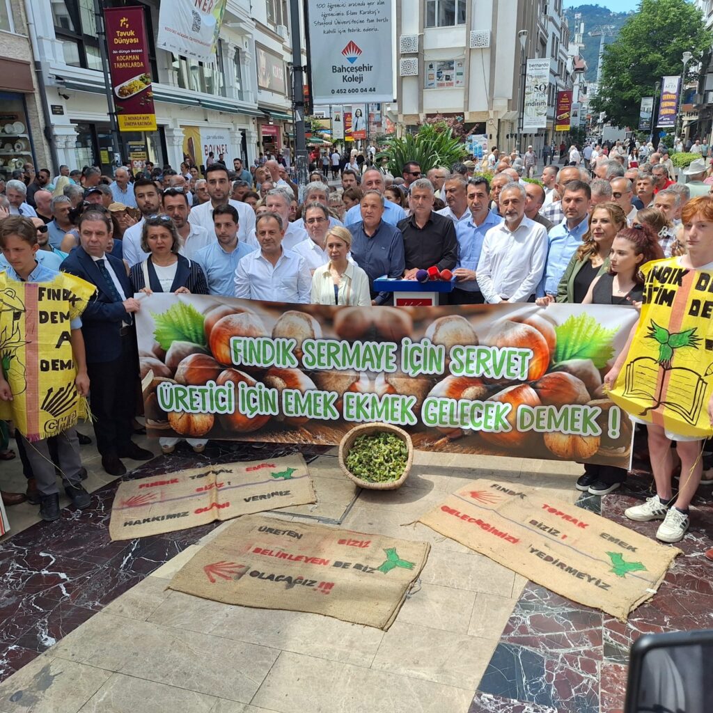 CHP, fındık için teyakkuza geçti: Taban fiyat 160 liranın üzerinde olsun, ödemeler 20 günü geçmesin!