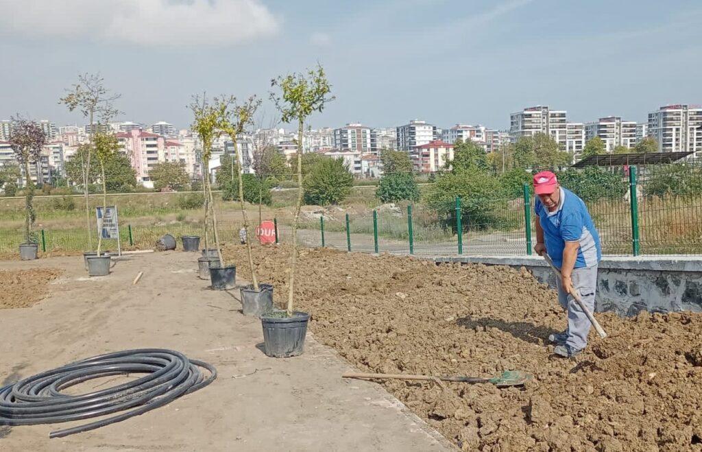 Canik’te Parklar Ağaçlandırılıyor