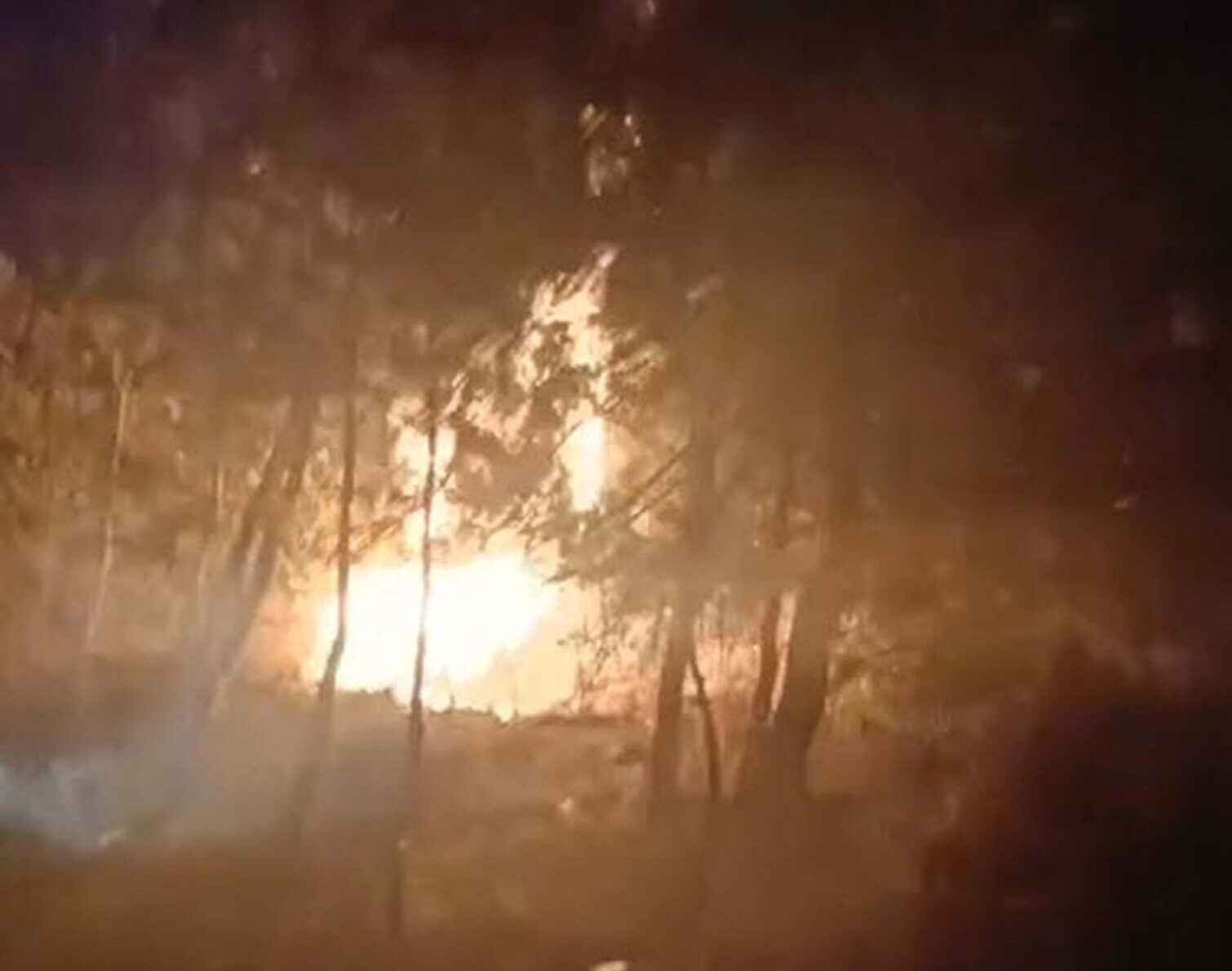 DEFINE ARARKEN ORMANI YAKAN SANIKLARA 18 871915 258936 scaled e1755603464749