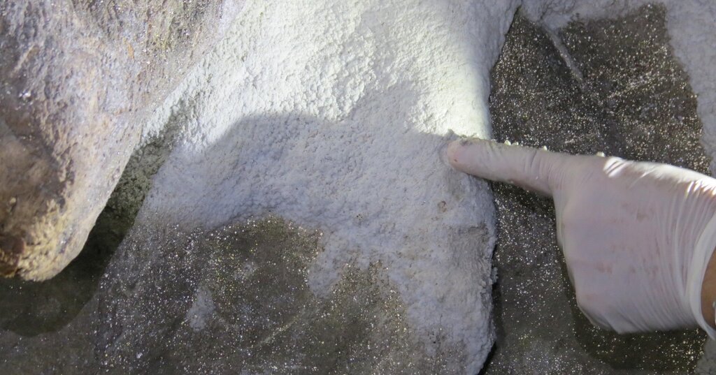 DOC. DR. AYLAR TURKIYEDE ILK DEFA AY 521414 154377