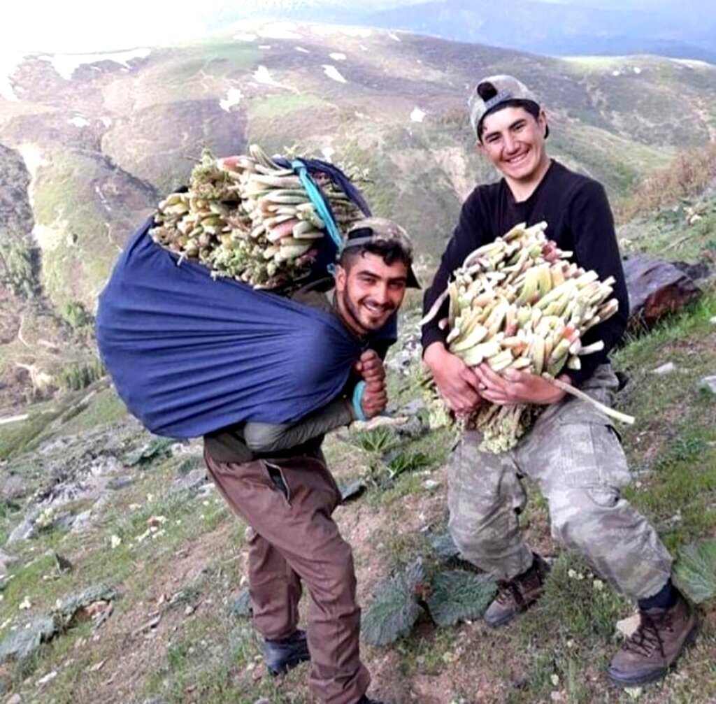 Daglardan tezgahlara yayla muzu