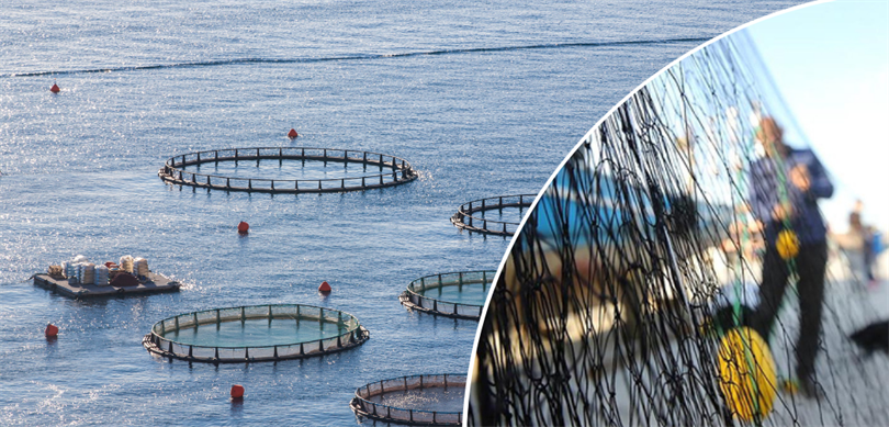 Deprem Su urunleri Destek Vitrin