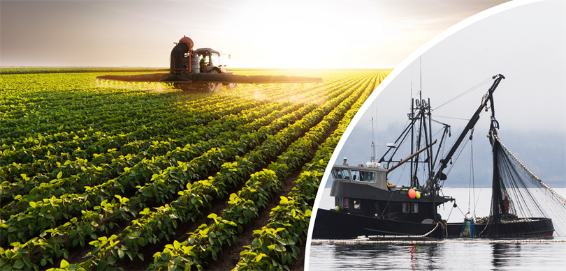 Destekleme Odemesi Vitrin 5.4.2024