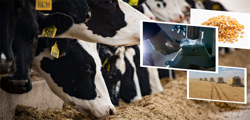 Destekleme Odemesi Vitrin 9.2.2024