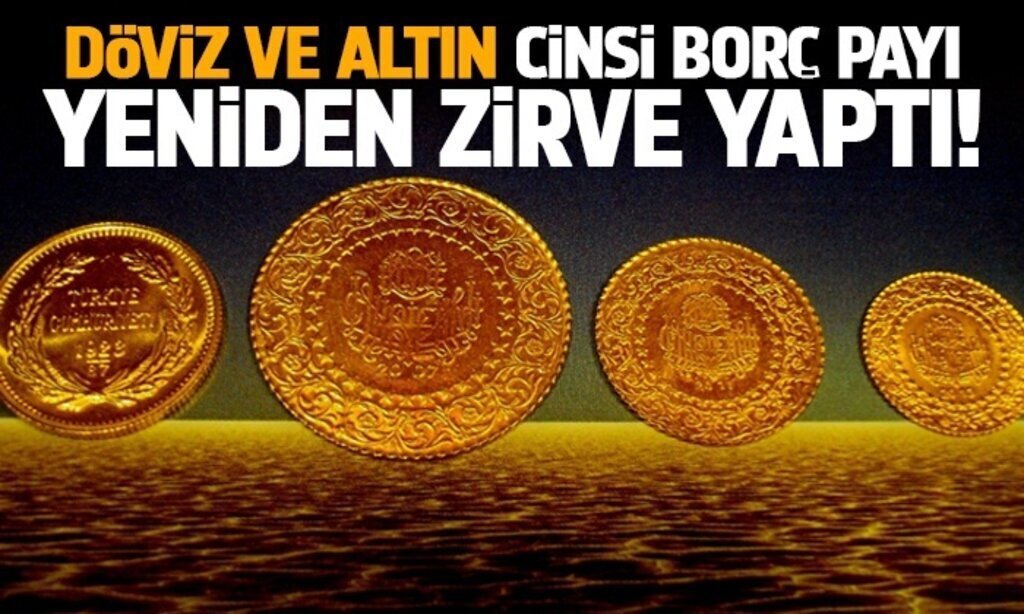 DoViZ VE ALTIN CiNSi BORC PAYI1