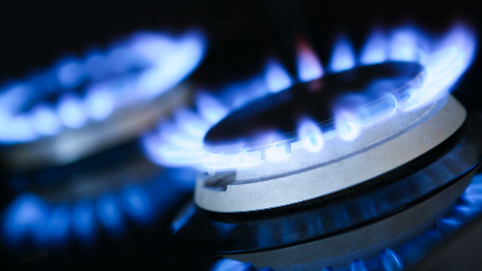 Dogalgaz destegi Nisan 2024e kadar devam edecek