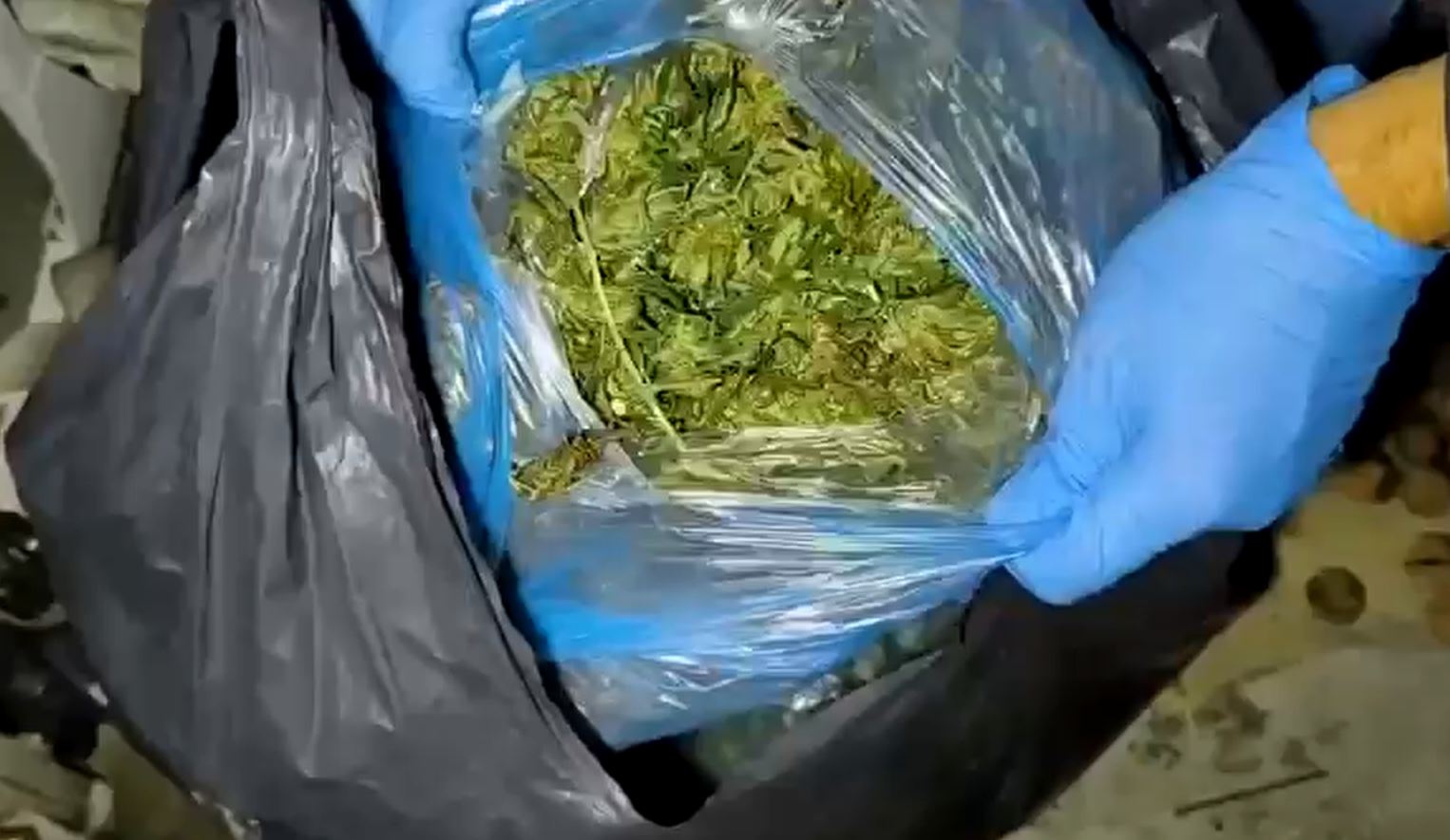 Evinde uyuşturucu ve silah ele geçirilen şüpheliye gözaltı