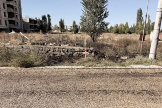 EVININ ONUNDEKI OT YANGININDA YASAMINI Y 932929 277094