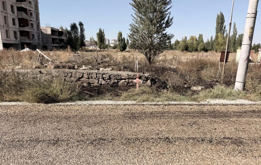 EVININ ONUNDEKI OT YANGININDA YASAMINI Y 932929 277094