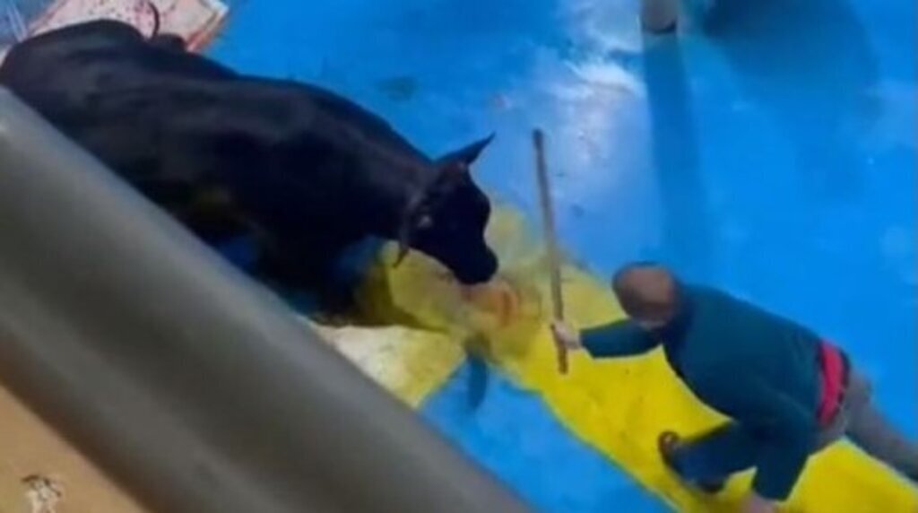 Ekran goruntusu 2024 05 19 183305