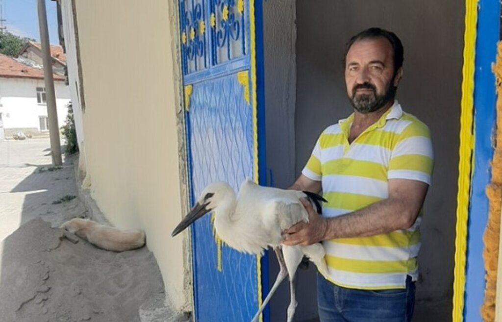 Ekran goruntusu 2024 07 09 202552