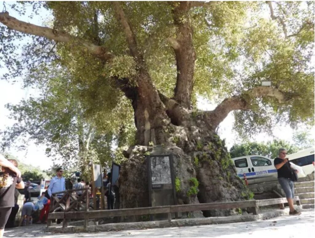 Ekran goruntusu 2024 10 03 124741