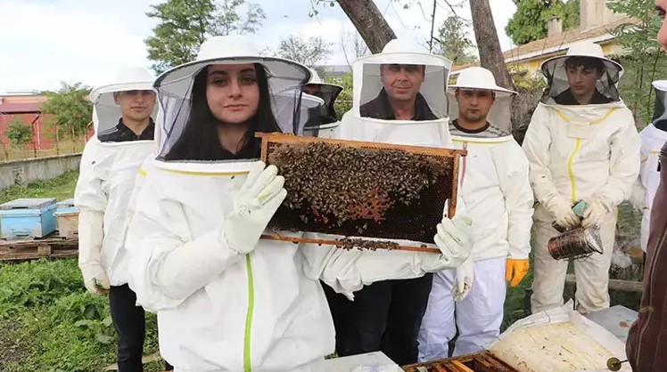 Samsun’da lise öğrencileri kendi arılarıyla bal üretiyor