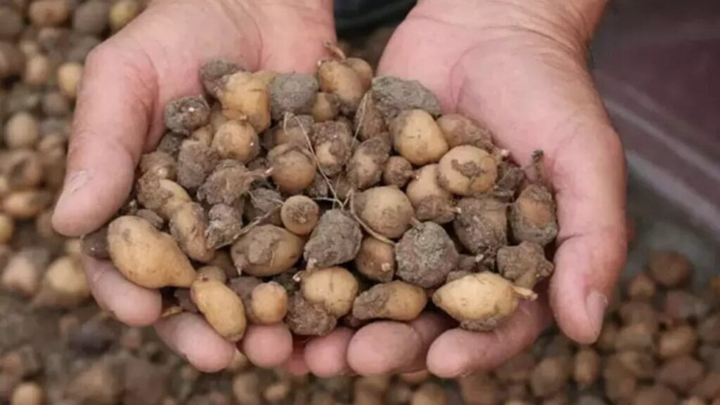 Ekran goruntusu 2024 12 12 153154