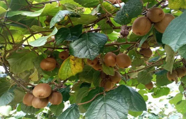 Ekran goruntusu 2025 11 07 013213