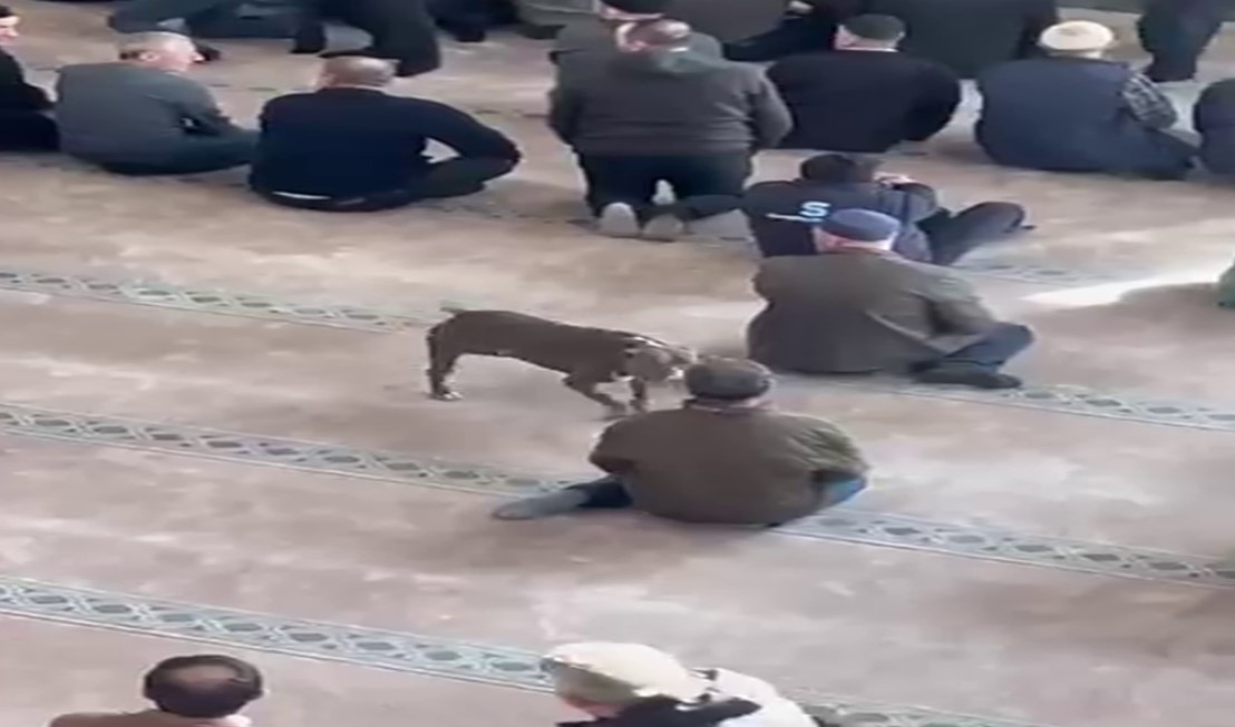 Ekran görüntüsü 2025-12-20 165310