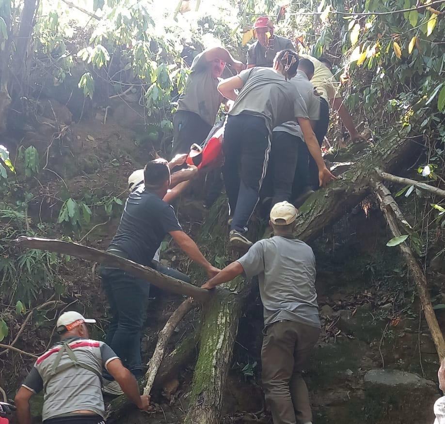 FINDIK TOPLARKEN UCURUMDAN YUVARLANIP OL 878537 260981