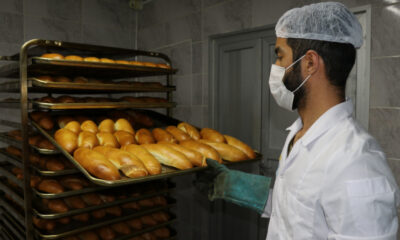 Haliliye Belediyesi’nin ürettiği ekmekler sofralara ulaşıyor