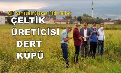 Fatih Türkel: Çeltik Üreticisi Dert Küpü
