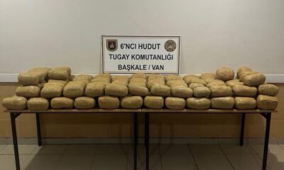 143 kilogram toz esrar ele geçirildi