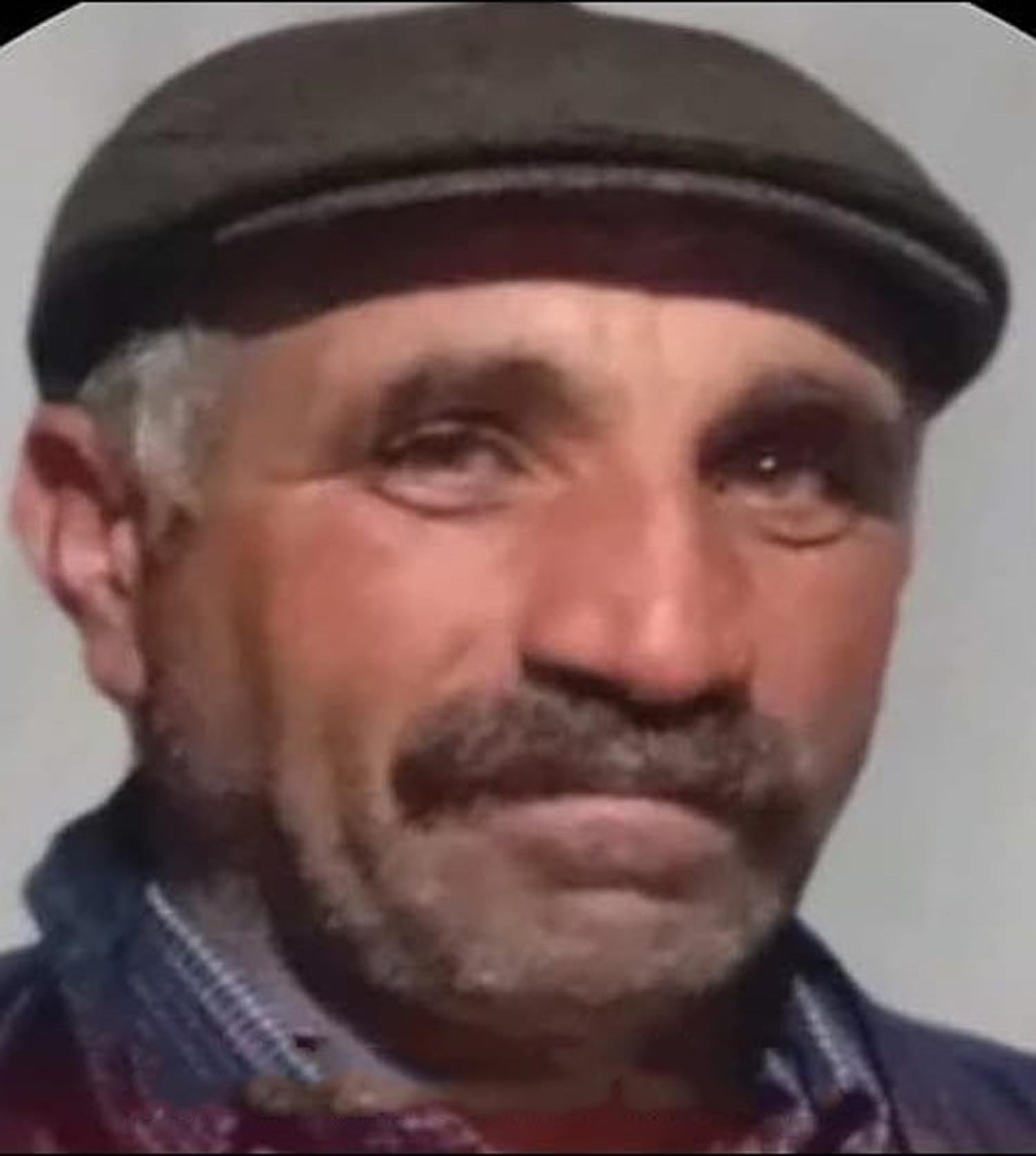 HAYVAN OTLATIRKEN UZERLERINE YILDIRIM DU 897146 266553