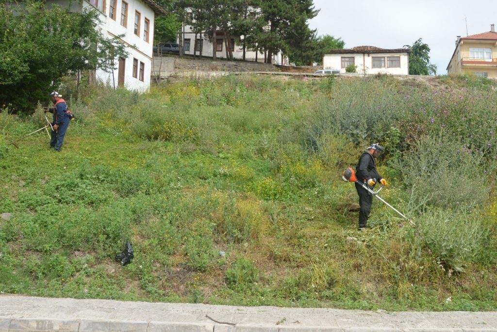 Havza Belediyesi çevre temizlik çalışmaları