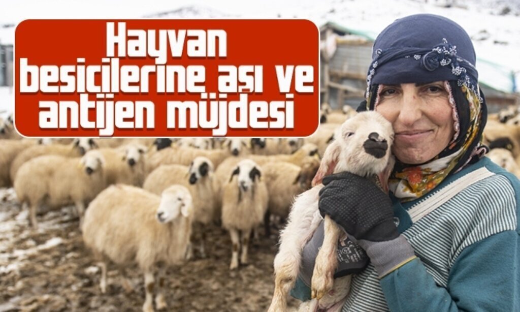 Hayvan besicilerine asi ve antijen mujdesi1
