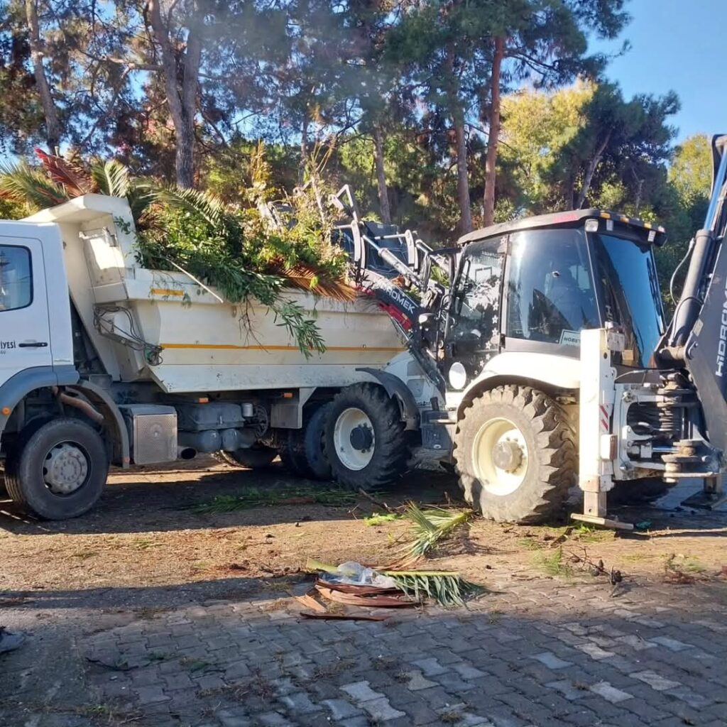 İlkadım’da ağaçlar, kent estetiği için budanıyor