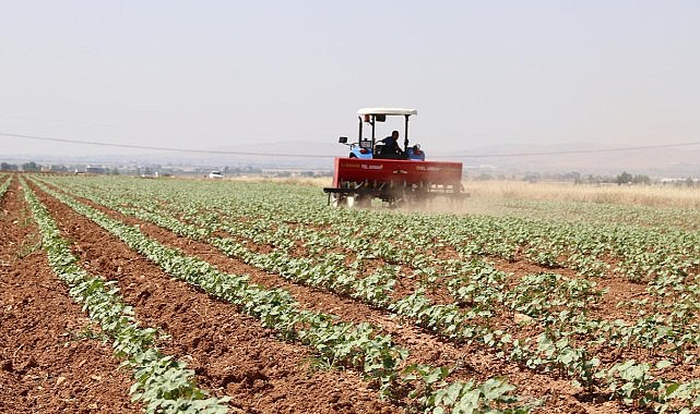 Ardahan’da Kırsal Kalkınma Hibe Başvuruları için son gün 29 Mart!