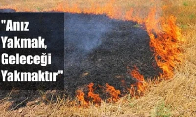 İl Tarım “Anız yangınlarına” karşı çiftçiyi uyardı